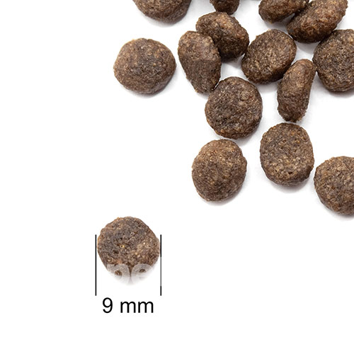 Practik Fresh "4 протеина" для щенков и взрослых собак мелких и миниатюрных пород