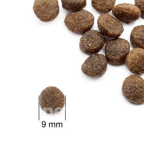 Practik Fresh "4 протеїни" для котів і кошенят