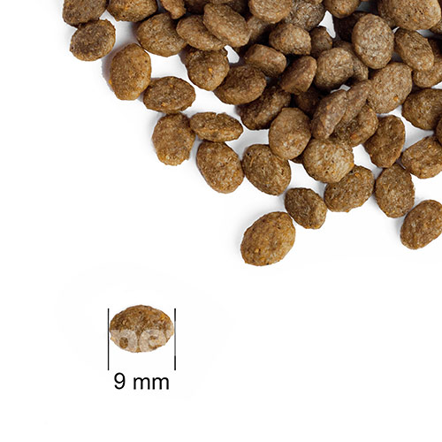 Practik Simple "Свежий лосось" для собак малых и миниатюрных пород и щенков Practik Simple "Свежий лосось" для собак малых и миниатюрных пород и щенков