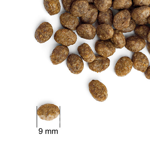 Practik Simple "Свіжий лосось" для котів