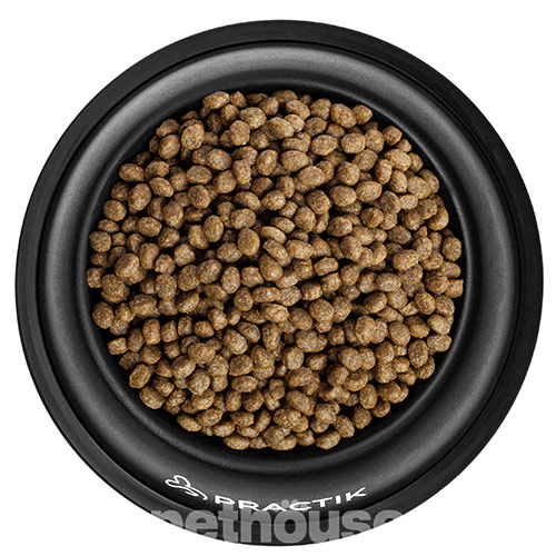 Practik Simple "Свіжий лосось" для котів