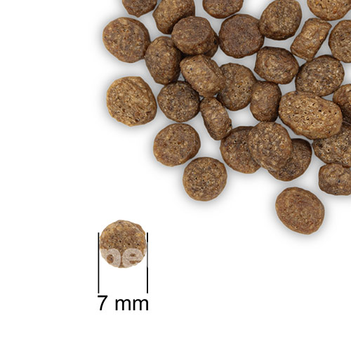 Practik Simple "Здоровий старт" для кошенят