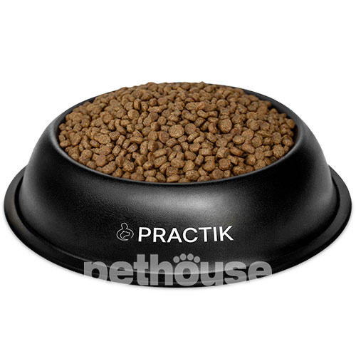 Practik Simple "Здоровий старт" для кошенят