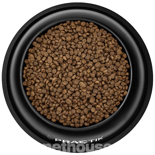 Practik Simple "Здоровий старт" для кошенят