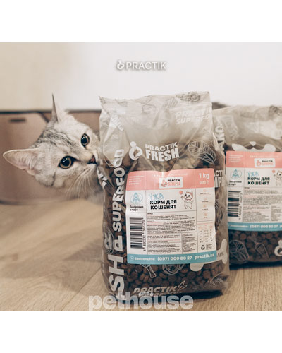Practik Simple "Здоровий старт" для кошенят