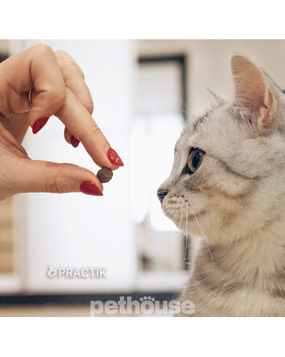 Practik Simple "Здоровий старт" для кошенят