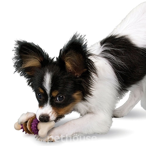 Premier Bristle Bone Игрушка-лакомство для собак, фото 3