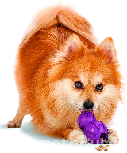 PetSafe Barnacle Розвиваюча іграшка для собак, фото 3