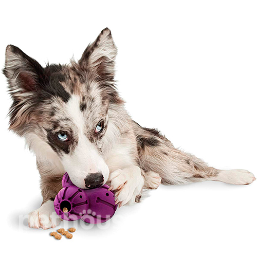 PetSafe Barnacle Розвиваюча іграшка для собак, фото 4