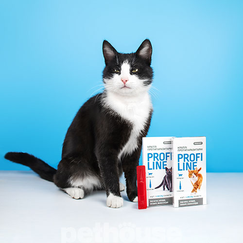 ProVET ПрофіЛайн краплі від бліх та кліщів для котів вагою до 4 кг, фото 2