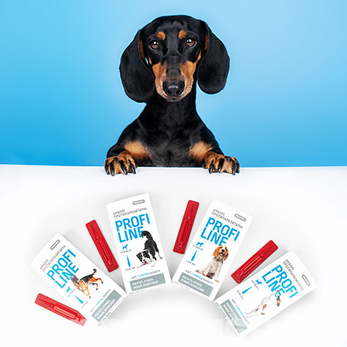 ProVET ПрофиЛайн капли от блох и клещей для собак весом от 4 до 10 кг, фото 4