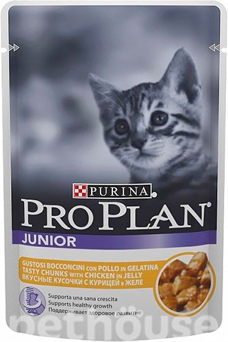 Purina Pro Plan Junior Chicken in jelly