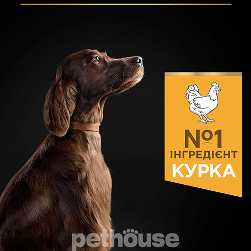 Purina Pro Plan Dog Adult Large Athletic Everyday Nutrition