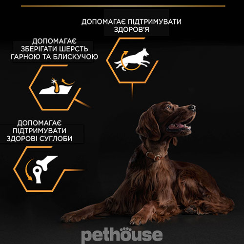 Purina Pro Plan Dog Adult Large Athletic Everyday Nutrition