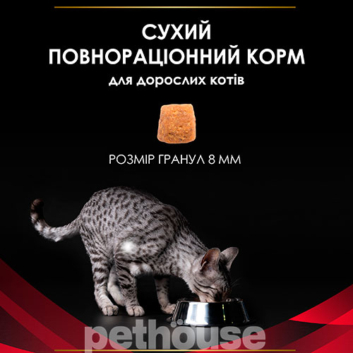 Purina Veterinary Diets DM St/Ox — Diabetes Management Feline, фото 2
