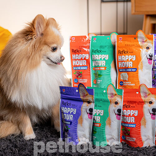 Reflex Plus Happy Hour Adult Dog Treat Dental Care Lamb & Mint Reflex Plus Happy Hour Adult Dog Treat Dental Care Lamb & Mint