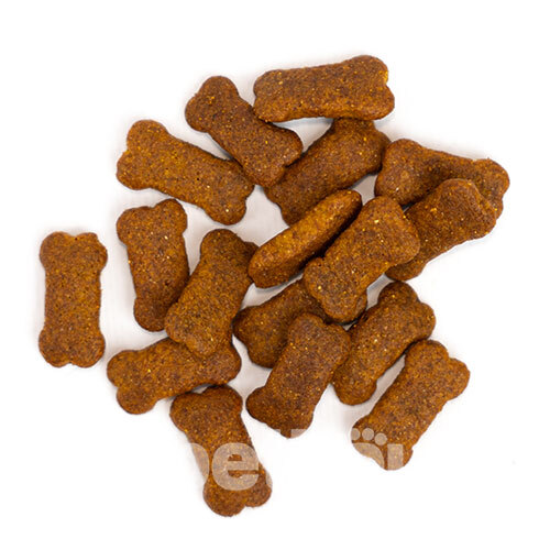 Reflex Plus Happy Hour Adult Dog Treat Healthy & Shiny Coat Salmon & Whey Powder