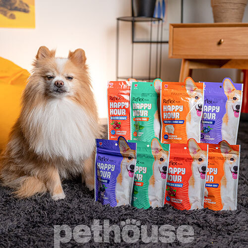 Reflex Plus Happy Hour Adult Dog Treat Healthy & Shiny Coat Salmon & Whey Powder