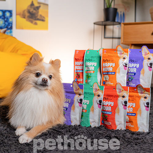 Reflex Plus Happy Hour Adult Dog Treat Healthy & Shiny Coat Salmon & Whey Powder
