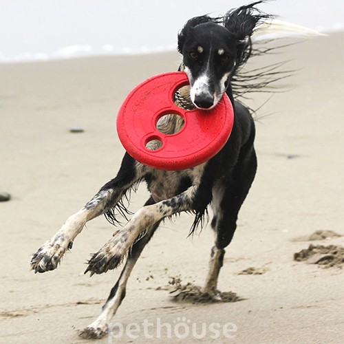 Rogz R.F.O. Летающая тарелка для собак, фото 3