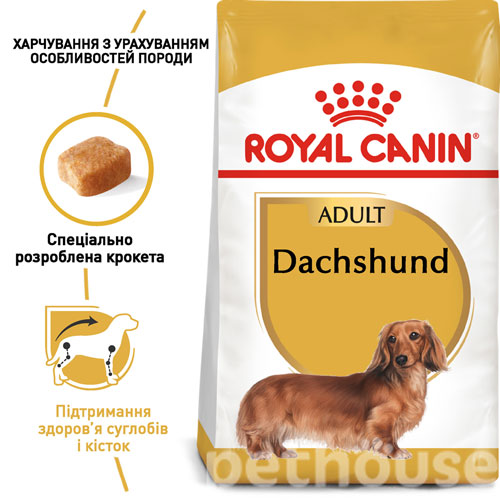 Royal Canin Dachshund Adult, фото 2