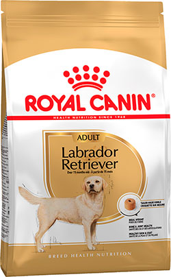 Royal Canin Labrador Retriever Adult