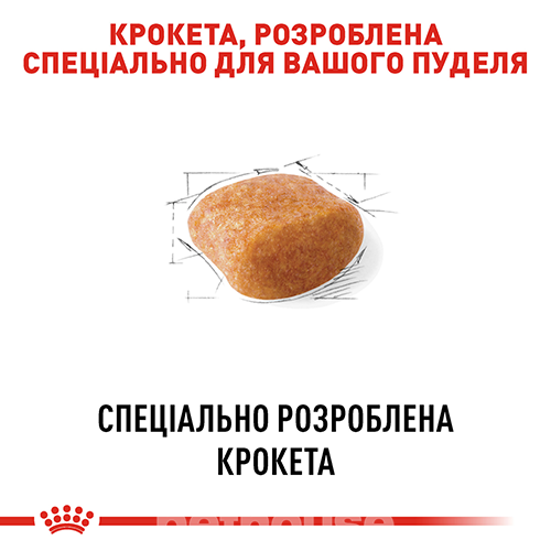 Royal Canin Poodle Adult