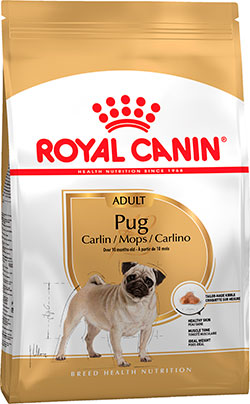 Royal Canin Pug