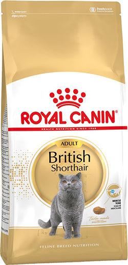 Royal Canin British Shorthair