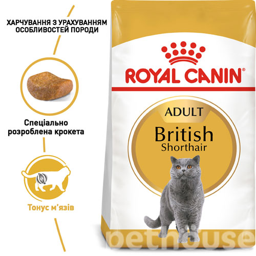 Royal Canin British Shorthair, фото 2