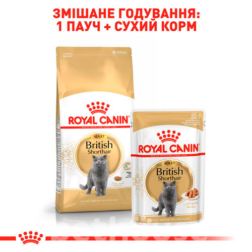 Royal Canin British Shorthair, фото 5