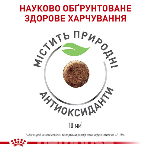 Royal Canin Queen 34