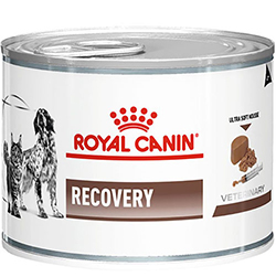 Royal Canin Recovery