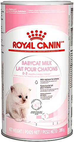Royal Canin Babycat milk