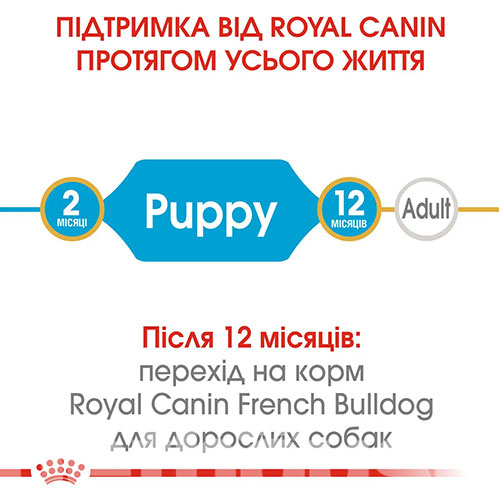 Royal Canin French Bulldog Puppy, фото 5