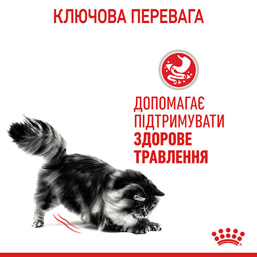 Royal Canin Digestive Care для кошек, фото 4