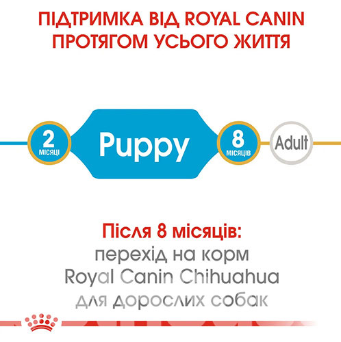 Royal Canin Chihuahua Puppy, фото 5