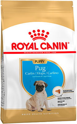 Royal Canin Pug Puppy