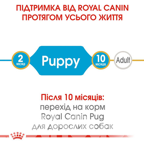 Royal Canin Pug Puppy, фото 5