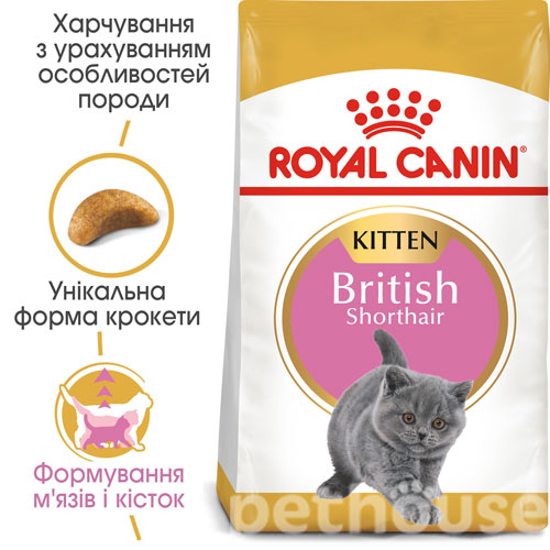 Royal Canin British Shorthair Kitten, фото 2