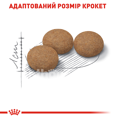 Royal Canin Sterilised Ageing 12+