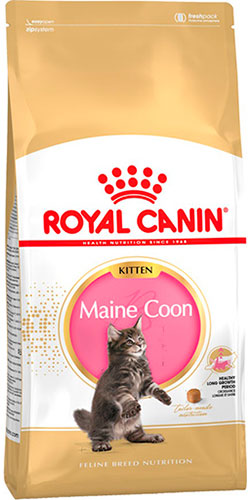 Royal Canin Maine Coon Kitten