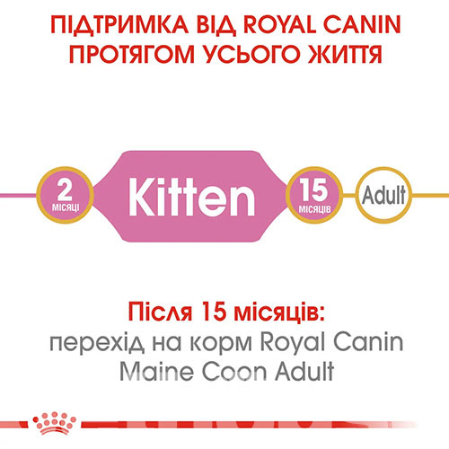 Royal Canin Maine Coon Kitten, фото 5