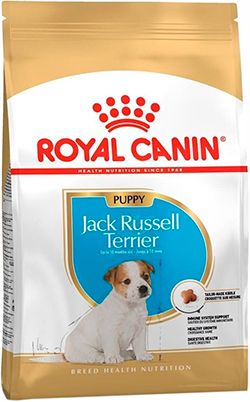 Royal Canin Jack Russell Terrier Puppy