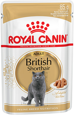 Royal Canin British Shorthair Adult в соусе для кошек