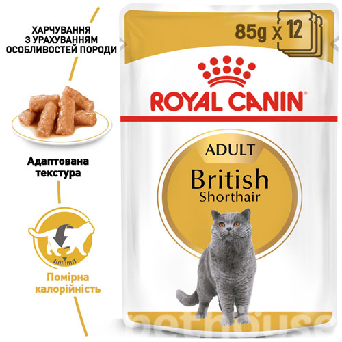 Royal Canin British Shorthair Adult, фото 2