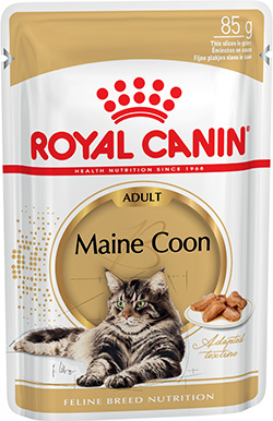 Royal Canin Maine Coon Adult в соусі для котів