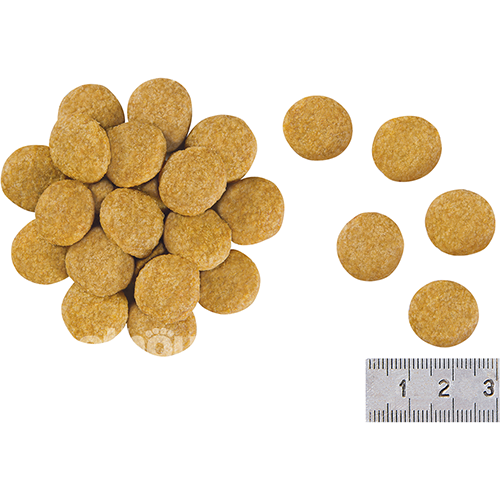 Royal Canin Skin Care Adult Canine