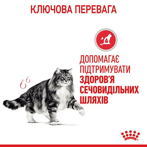 Royal Canin Urinary Care в соусе для кошек, фото 4