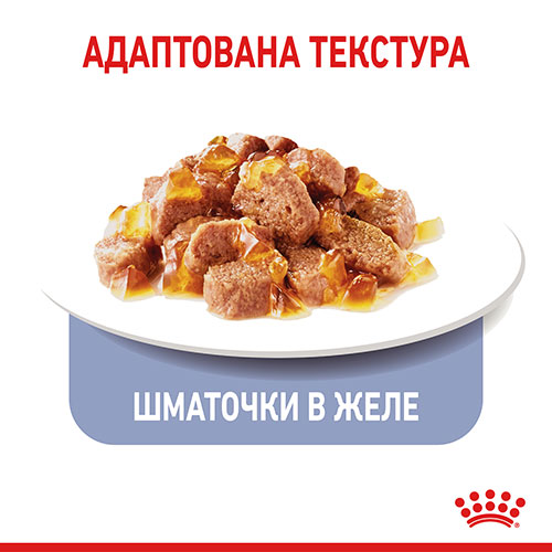 Royal Canin Light Weight Care в желе для котів